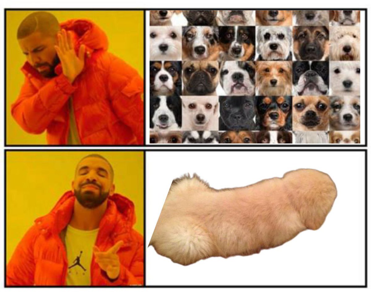 $Willy CTO tweet media