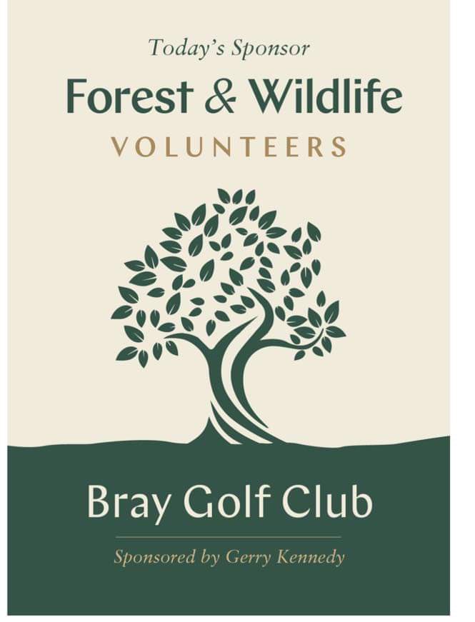 Bray Golf Club tweet media