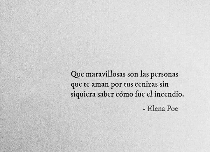 Cultura Literal (@culturaliteral1) on Twitter photo 