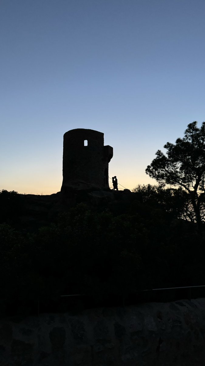 i no hi ha res que me faci més feliç que compartir sa posta de sol amb ell❤️‍🩹