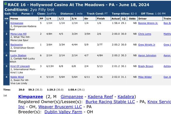 Kimpanzee became Gimpanzee's first q winner. ✅