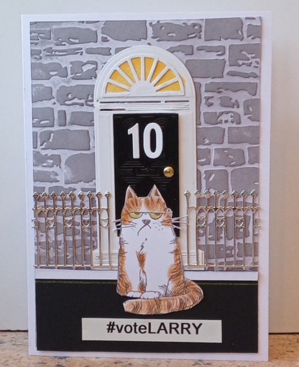 Number10cat's tweet photo. A brilliant card from my pal @janesgrapevine - hoping to start smiling again soon! https://t.co/3EylEGwIxH