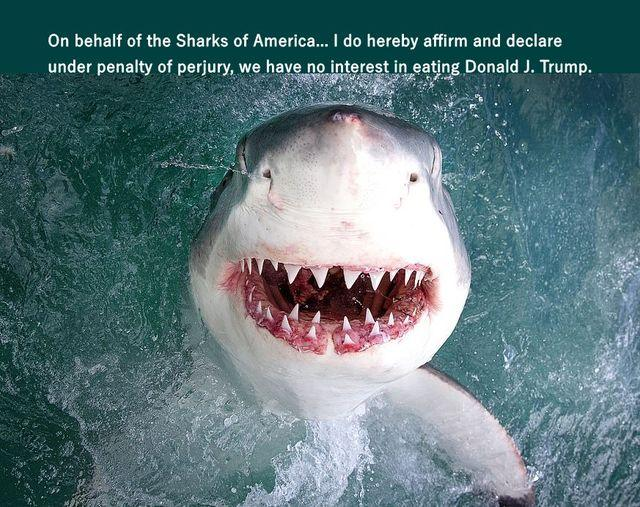 Johnny Echols tweet media