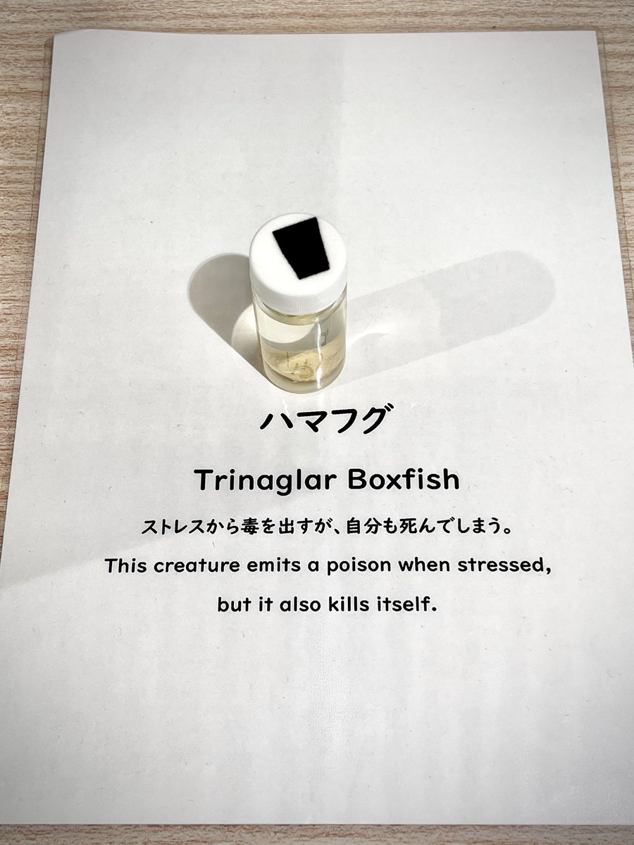 K_theHermit's tweet image. こういう人、稀によくいる