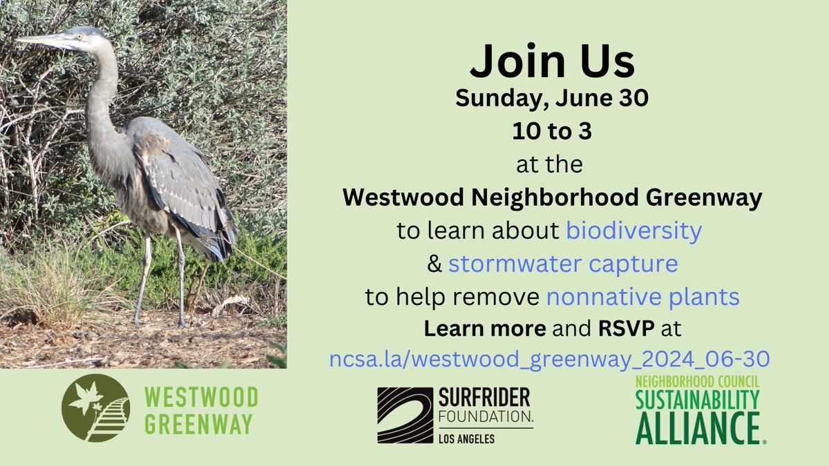 Join <a href="/SurfriderLA/">Surfrider LA</a> and us at @WestwoodGreen Sunday, June 30 for a tour, a #NativePlant give-away, and to help us maintain this very special spot! Learn more and RSVP at ncsa.la/westwood_green….