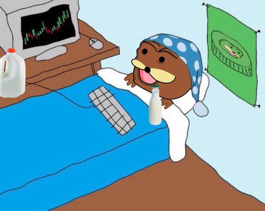 spurdospardeSPL's tweet photo. Rize and shine id’s $SPURDO time :DD Mage sure you ged your mornign fuel XDD goign to be a sbecial day :DD

https://t.co/OmgaCcbboe

fugg :DD https://t.co/234wbACHTj