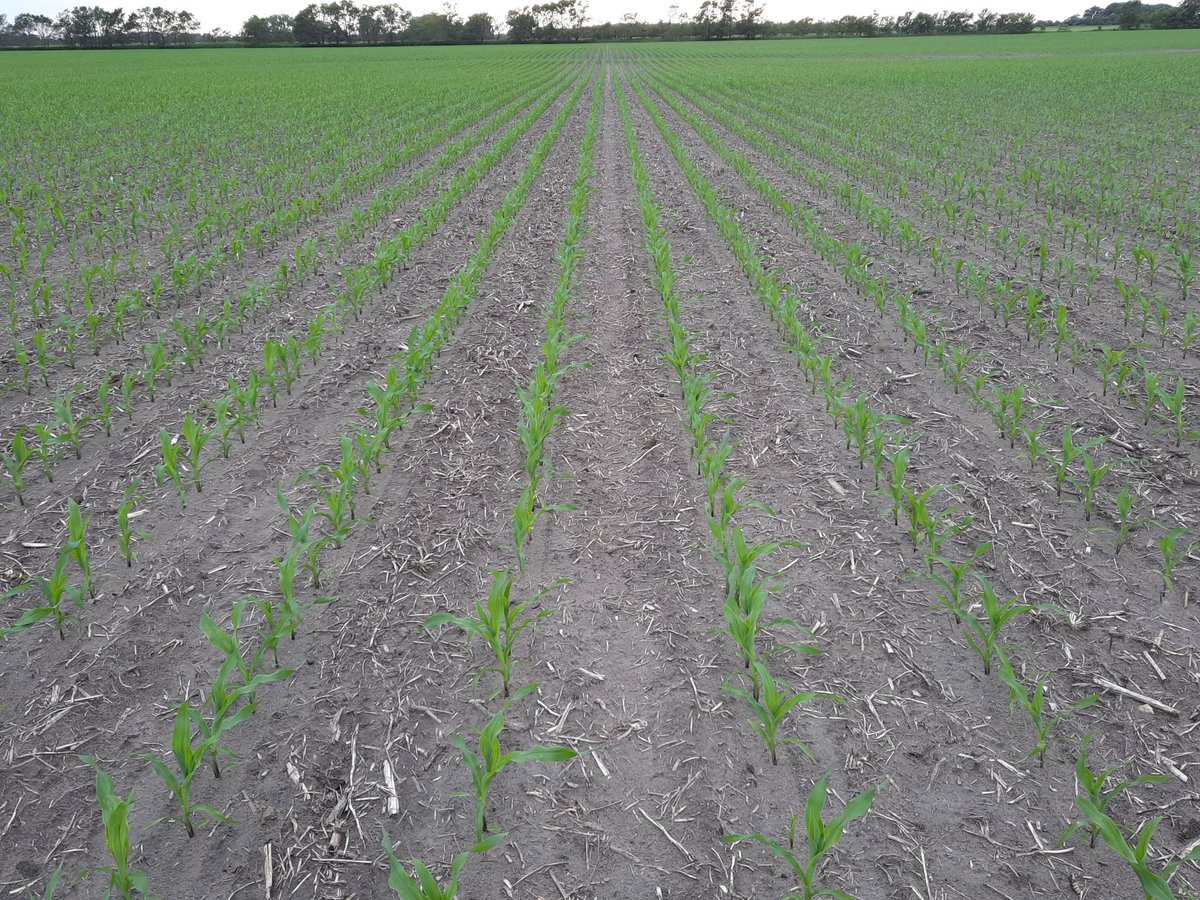 Craig Hanson tweet media