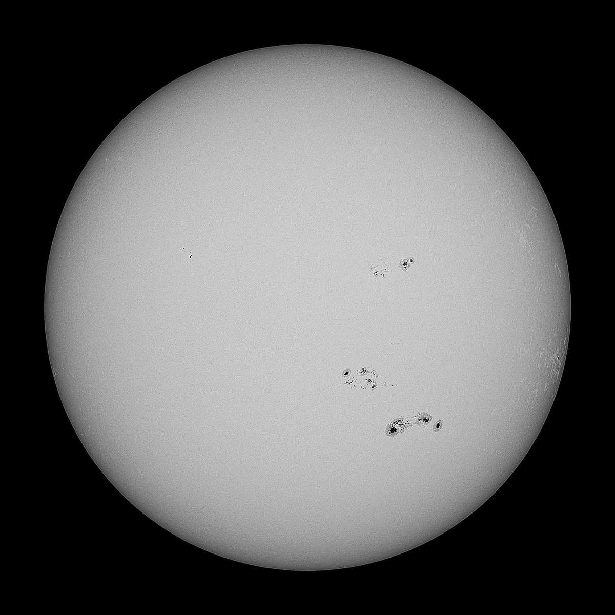 tahiti_express's tweet photo. #Sunspot 2024-06-19 11:05:00 UTC+9 (#Japan)
微風、快晴。大気状態は良好でコントラスト良し。
N13E27 付近に新黒点群?
#Sun #ASTF200 #C8 #QBPF #Zfc #愛知県尾張旭市
https://t.co/sjMTrSk2mZ https://t.co/52ylTWMEjY
