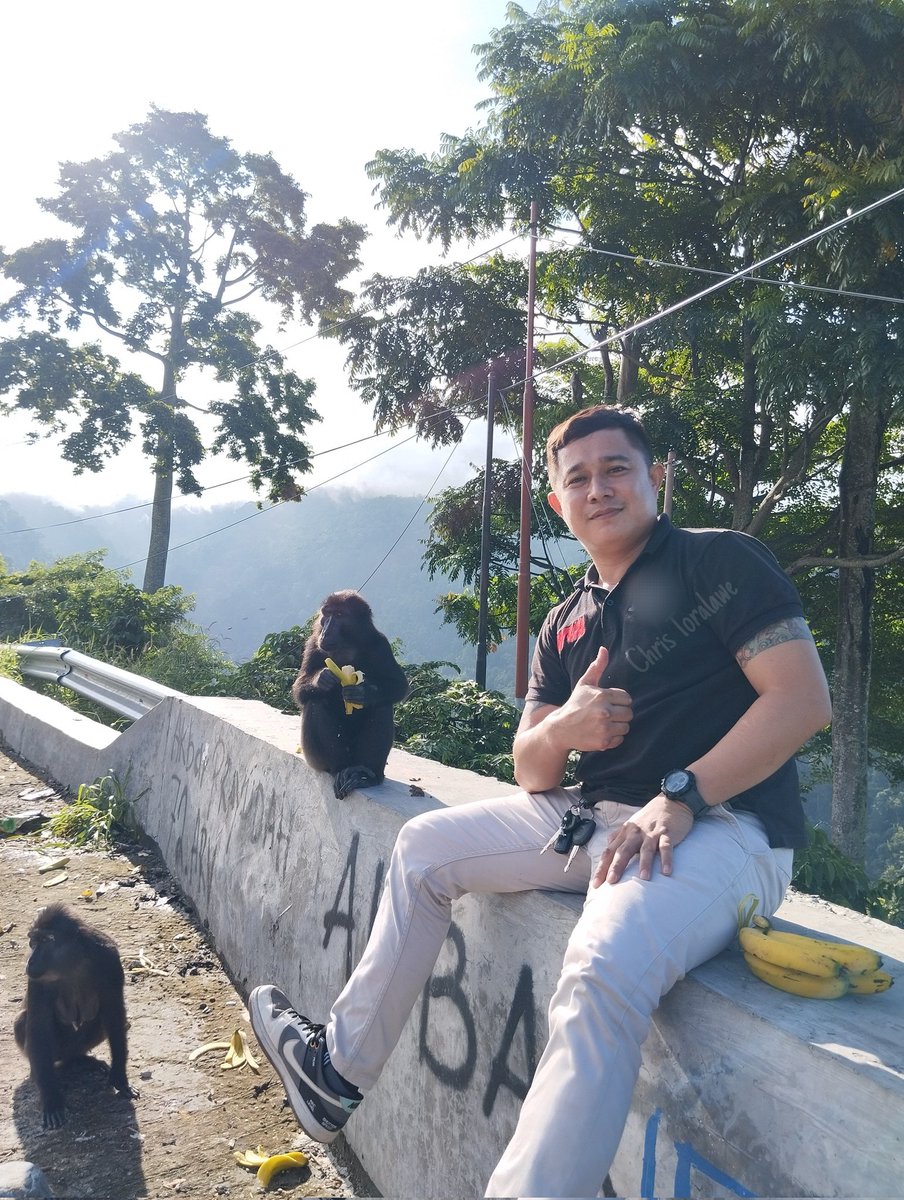 ChrisToralawe's tweet image. Temu kangen kawan lama yg so betah di kebun kopi 😆

#kebunkopi #monyet #orangutan #bumitadulakolo #hewan #sulawesi #animal #jinak #transsulawesi #makiloputra #putramakilo #minahasaselatan #tountemboan #picuanbaru #minsel #minahasa #tuamalolombulan #manado #poso #pamona #boe
