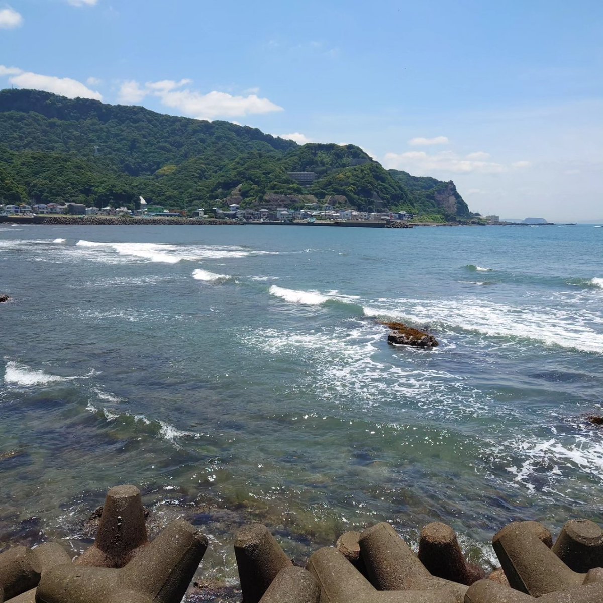 hory_ramen's tweet image. 今日は天気も良いので早朝から洗車してピカピカの車で房総までドライブ。ランチは金谷港にあるthe Fishにて本日の地魚4種丼。4種はアジ、メダイ、マダイ、ヒラメでした。熟成感の有る肉厚のアジが美味しかったです😋
#海鮮丼 #thefish