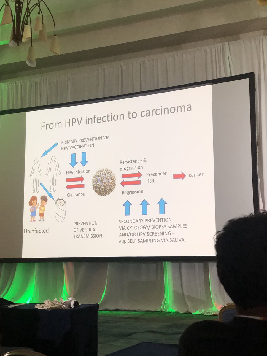 The first talk of #IAOP2024 was about HPV ! 
The vaccination is important! 
It was a great presentation by Dr.Syrjanen…