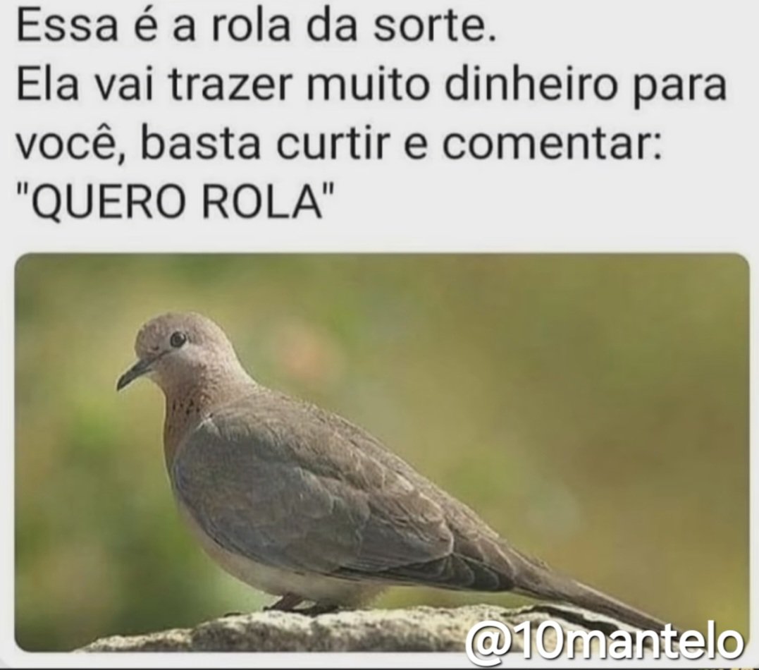 Widmark13's tweet photo. @NP__Oficial https://t.co/PfEDzidJ64