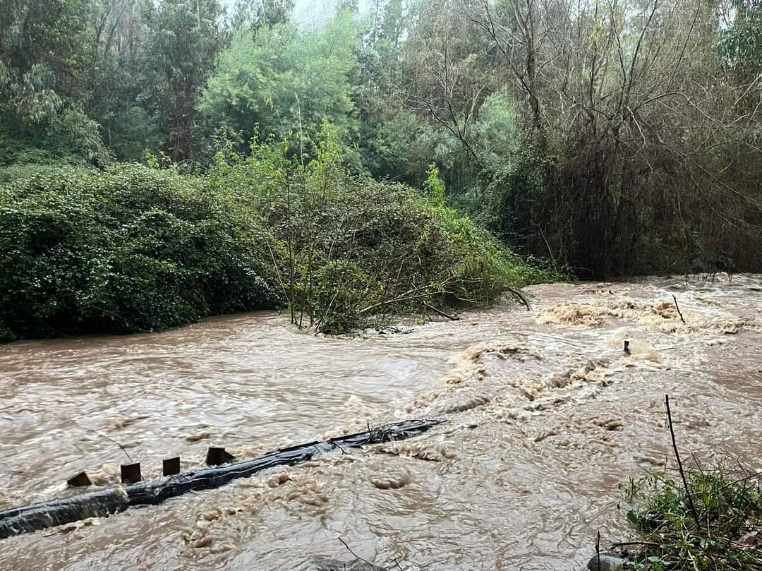 Mc Four The Records tweet media