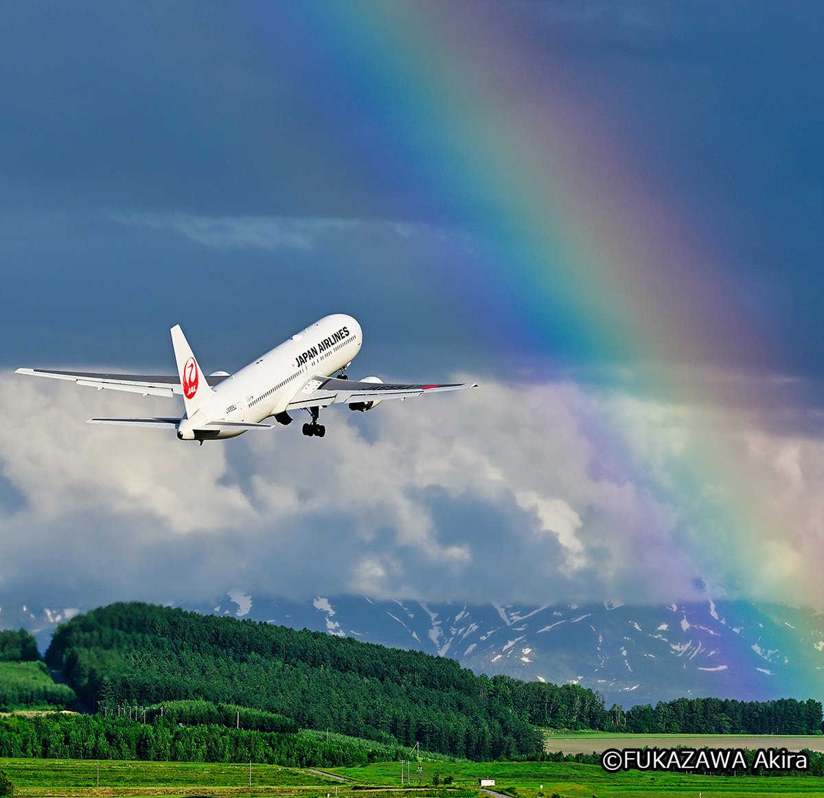 松ぼっくりと空 どうも、JALの中の人です|・ω・)ﾉおはじゃる 今朝は、大きな虹に向かっ