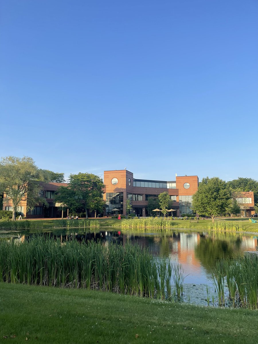 It’s only day 3 of the #GRC Immunometabolism in Health and Disease and I am in awe of all the great talks, poster and new friends I’ve met! 🤯