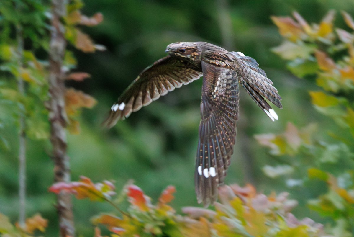 Shaun Evans tweet media