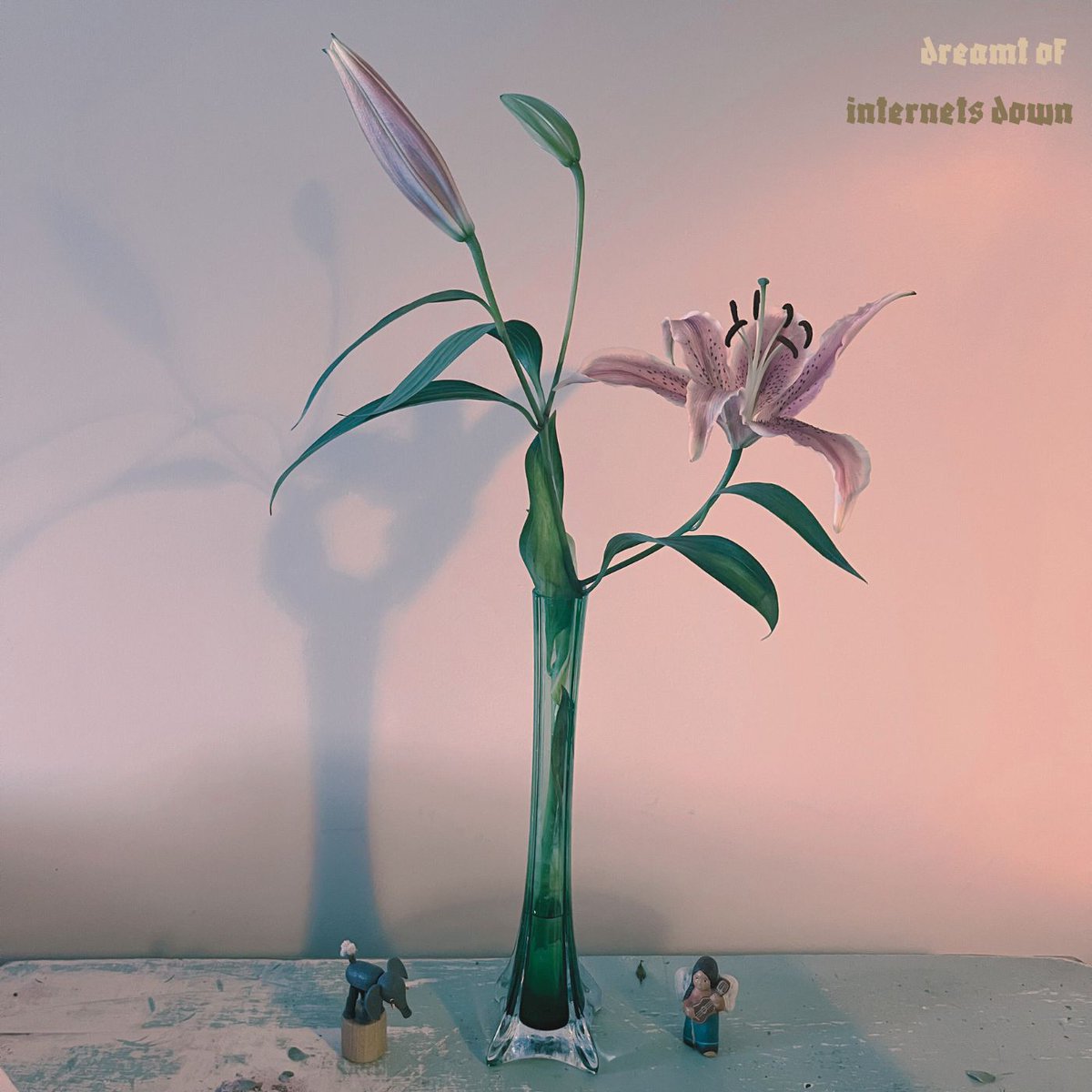 dreamt of (lauren pardini) tweet media