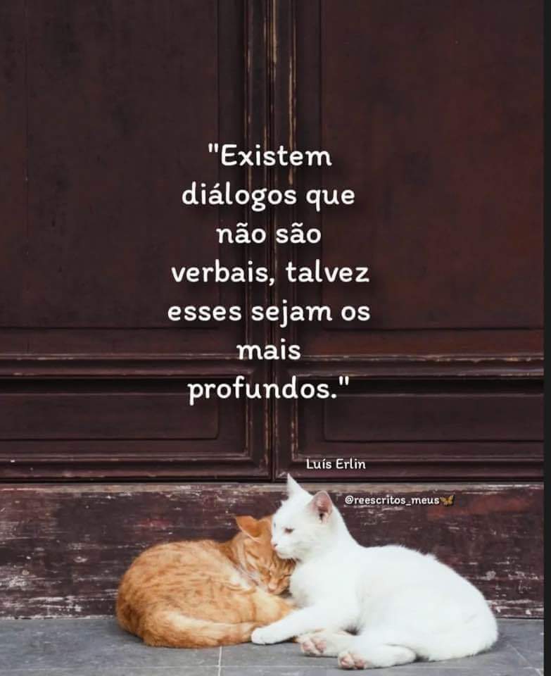 91Amancio's tweet photo. #Existem 
#Diálogos 
#Profundos https://t.co/5QuhR8eKKq
