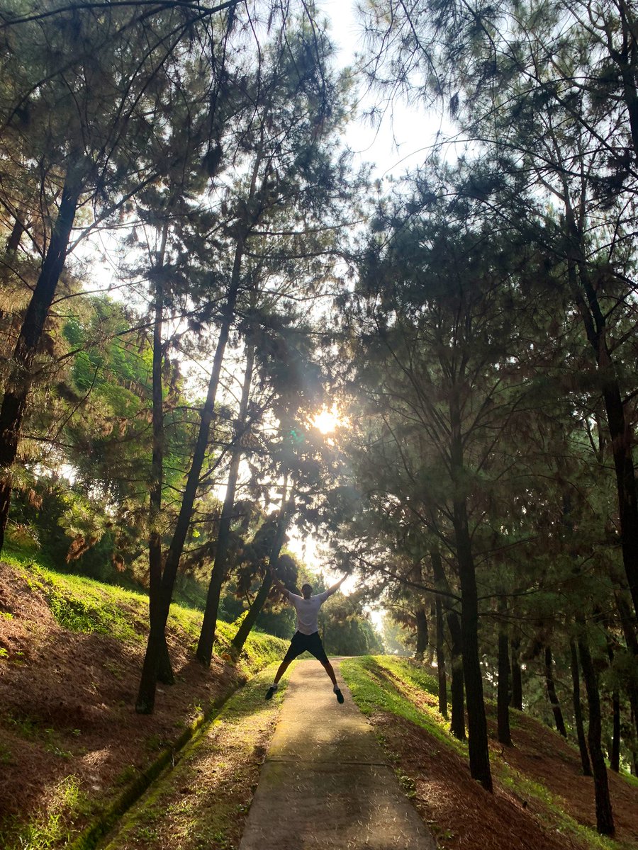 AmreezShree's tweet photo. Antara tempat paling bes for morning stroll &amp; picnic ☀️ Right after jalan terus makan India Gate Ghee Tosai &amp; Fresh Milk Bru Coffee 🤤 https://t.co/XyABlvRs7a