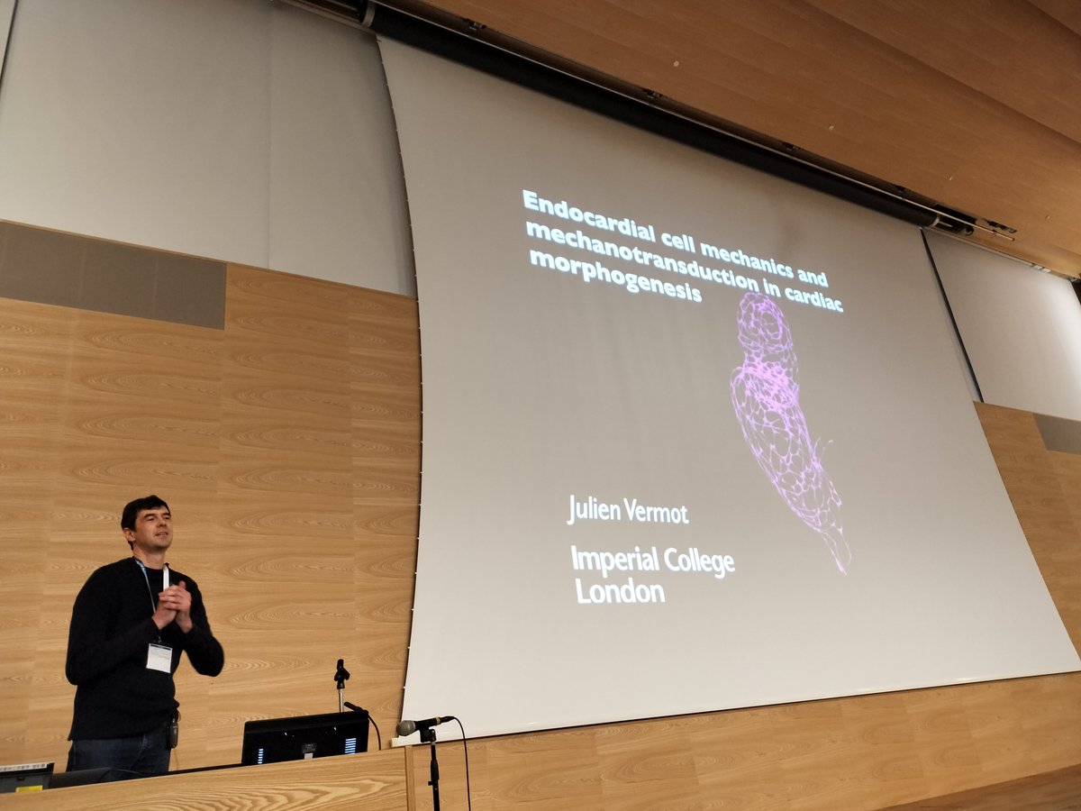 Julien Vermot from UCL talked the impact of mechanical stresses during morphogenetic processes of zebrafish heart.