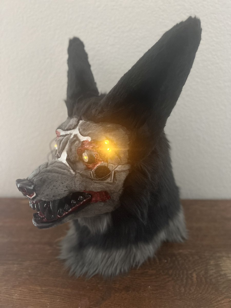 SlaughterdHound's tweet image. X ORDINAL X
-
-
Head commission for @iolitefox
Has a lot of hand sculpted and printed parts made by myself, base was purchased from @/chaoscostumes
-
#cyborgfursuit #fursuitcommission #fursuithead #fursuitmaker #cyborgwolf