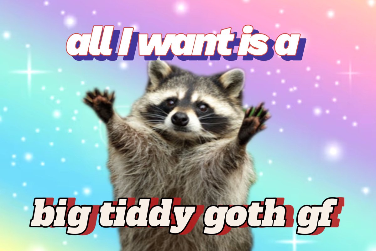 raccoon aesthetic. (@raccoonesthetic) on Twitter photo 