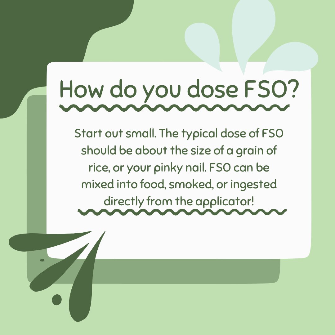 What is FSO?🤔