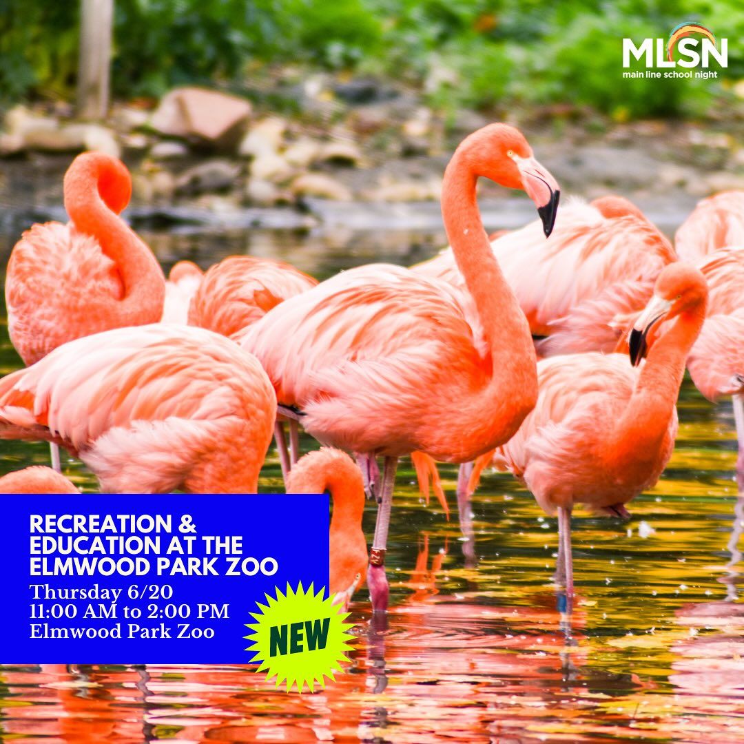 Get outdoors and visit some wildlife with us on Thursday 6/20 at the Elmwood park zoo! Click buff.ly/4chWVUC to sign up!