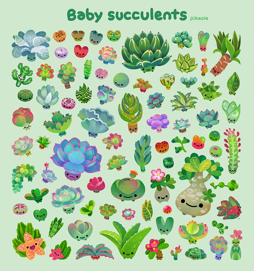 pikaole's tweet photo. Baby succulents https://t.co/Qoe0KZ9YFs