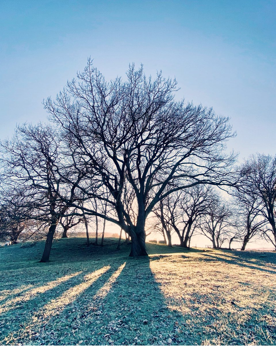 Fresh mornings❄️🥶 &amp; stunning days ☀️🍺

 #VanDieman #Frost #GrowBrewEnjoy #northernmidlandstasmania #FarmLife #BreweryLife #Tasmania"