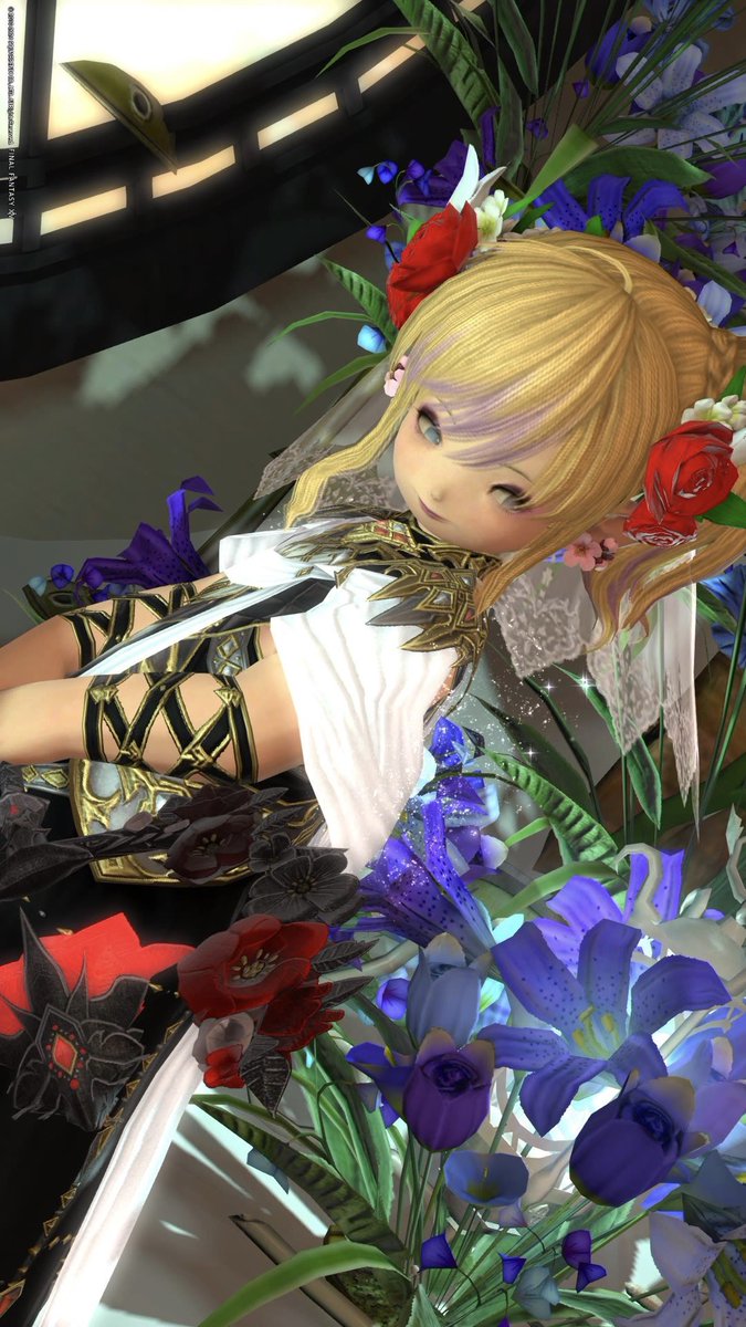 hinatachanman5's tweet photo. おはようございます🥀⋆*

#nlst14 
#おはララ　#FF14   #ララフェル https://t.co/JUOzMZz0pe