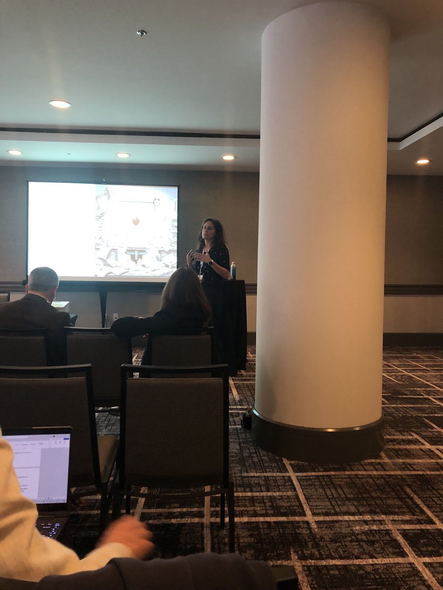 Petra Habets presenting at the IAFMHS in San Francisco! 👍👍👇🏽👇🏽