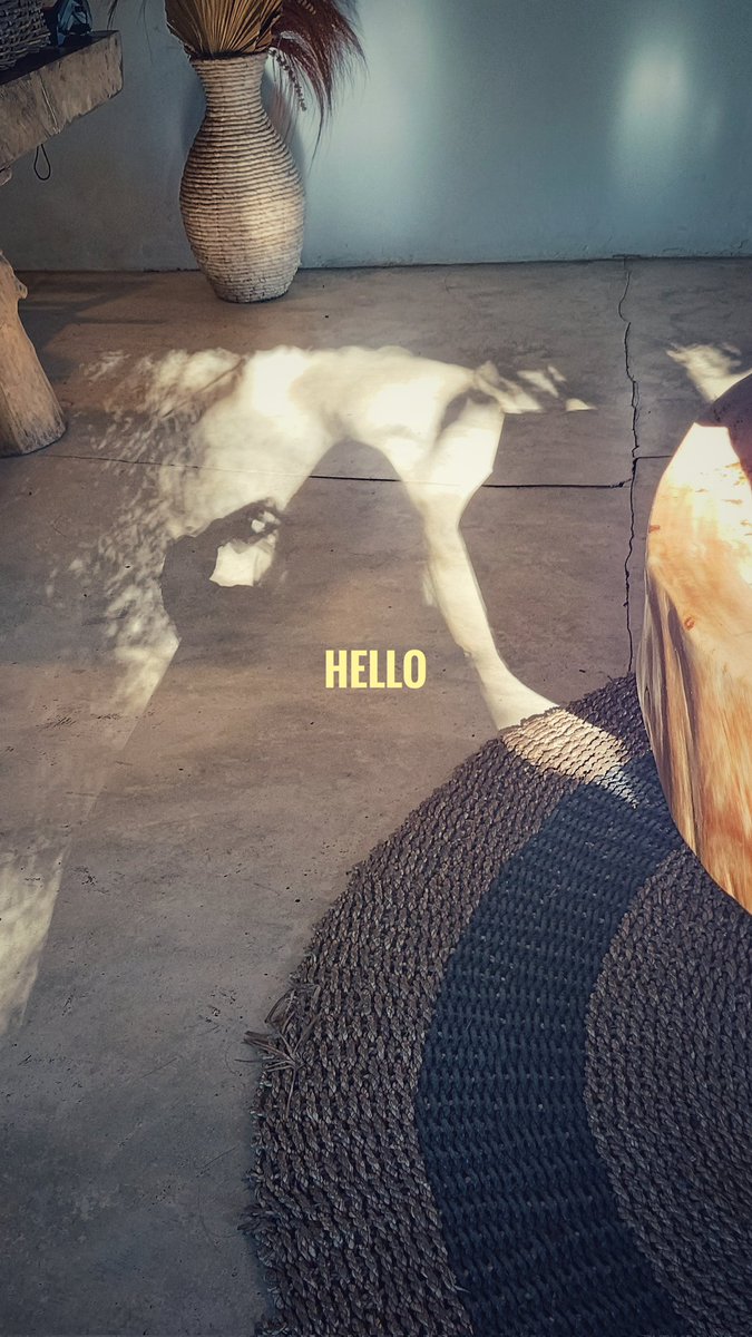 Okeh bye Ayam..
No more ayam smp telor2nya