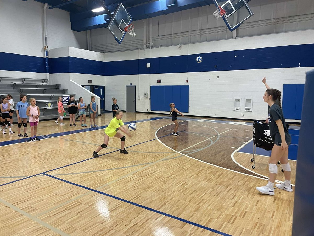 Carlson Volleyball tweet media