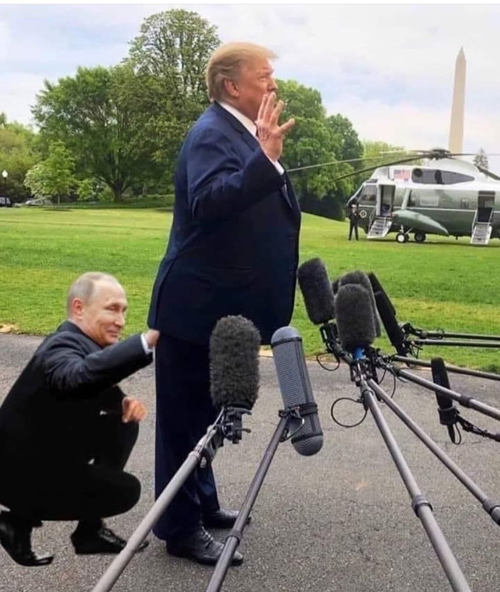 Notononsense tweet media