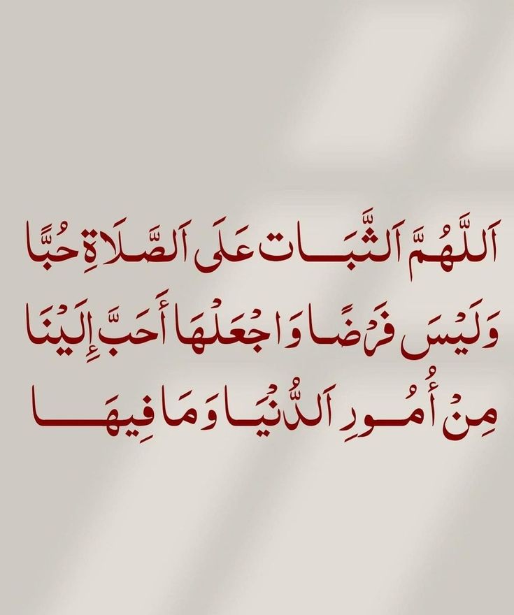 N_A_283's tweet photo. 🤲🏻✨ https://t.co/CuQNW1QR8c