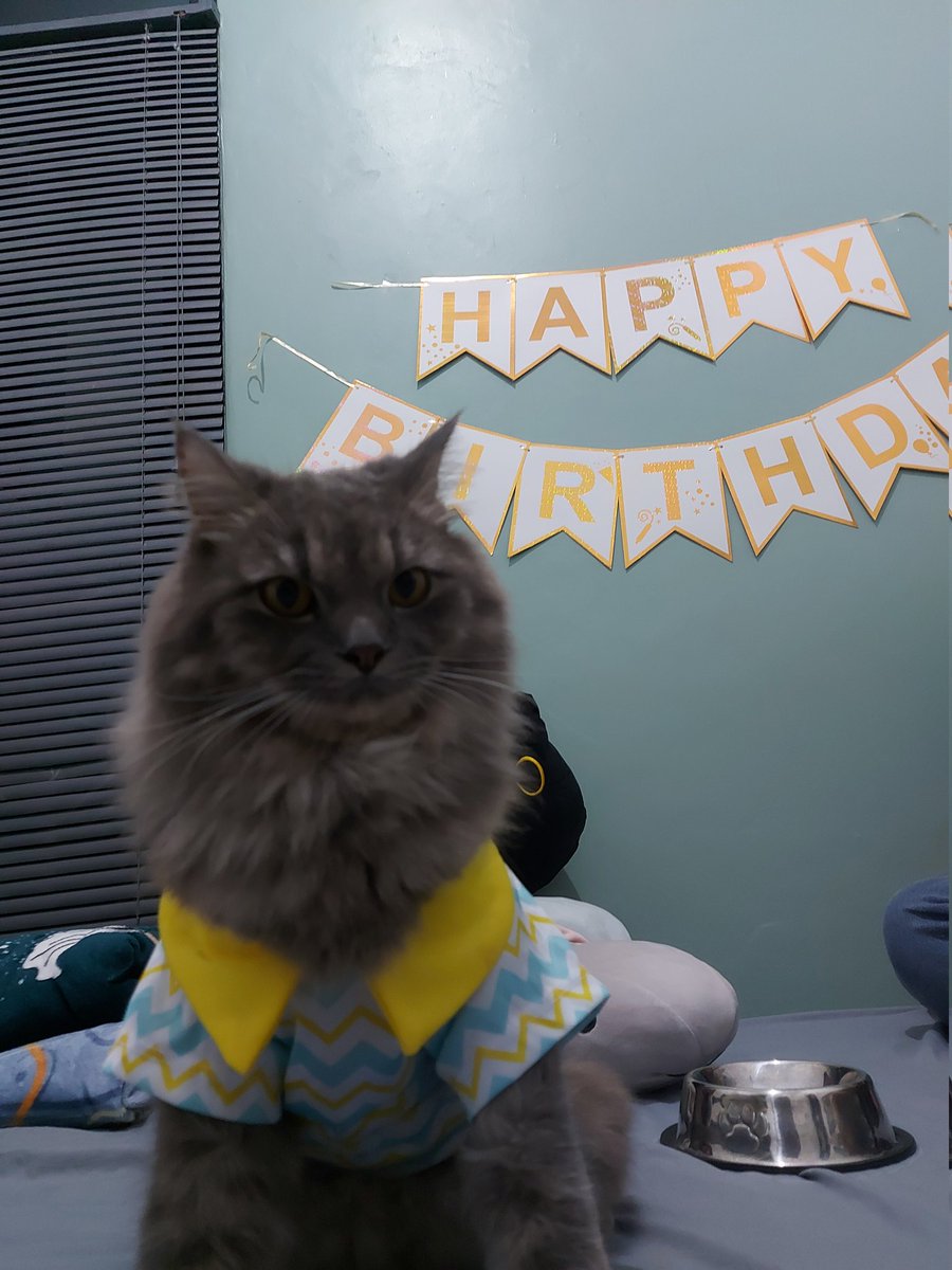 rinantiwijaya's tweet photo. Happy 1st B'Day Casper 👻🥳🥰❤️ https://t.co/w5FOSSHhIp