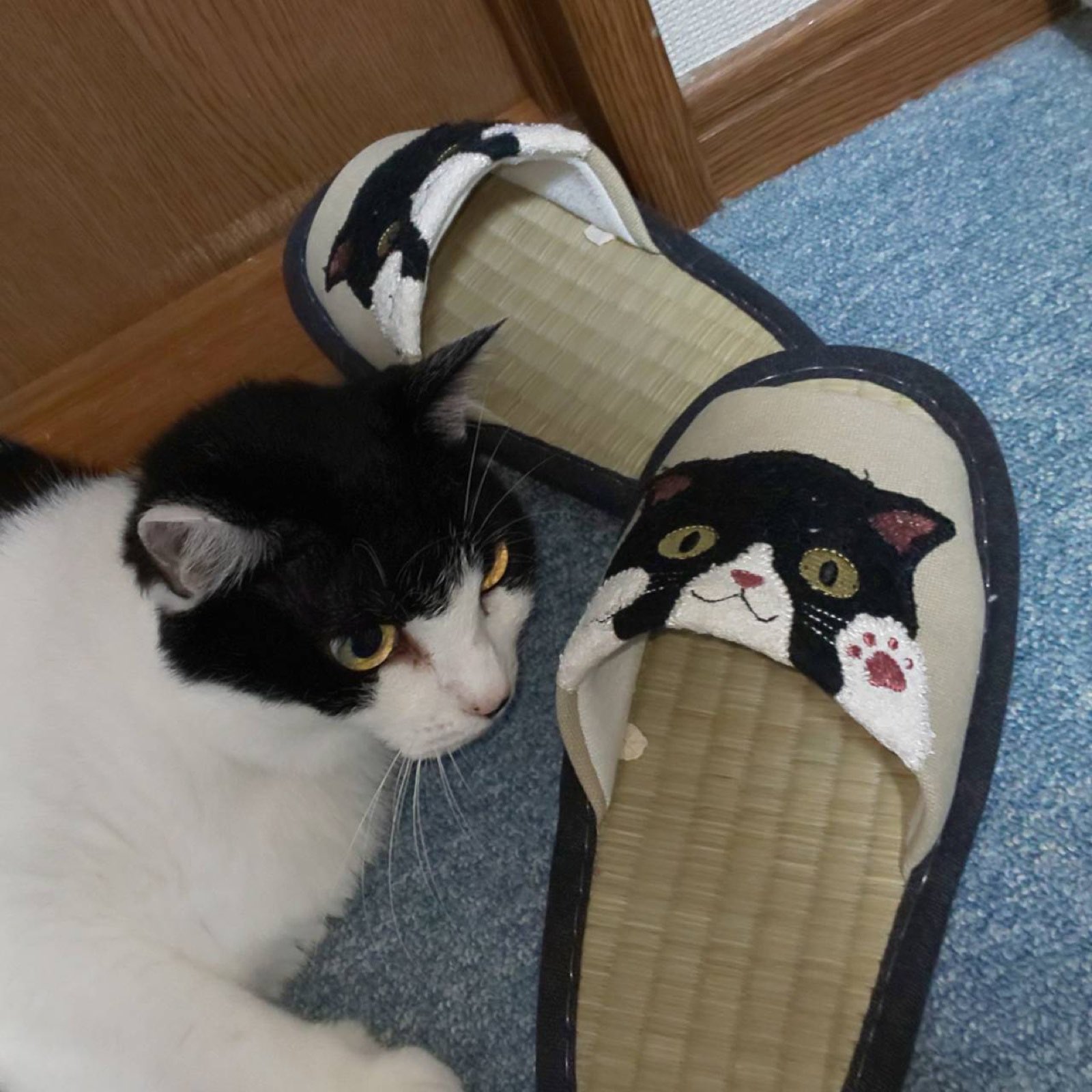 猫まっしぐらセレクト】 猫の置物-スニーカー|猫グッズ・猫雑貨