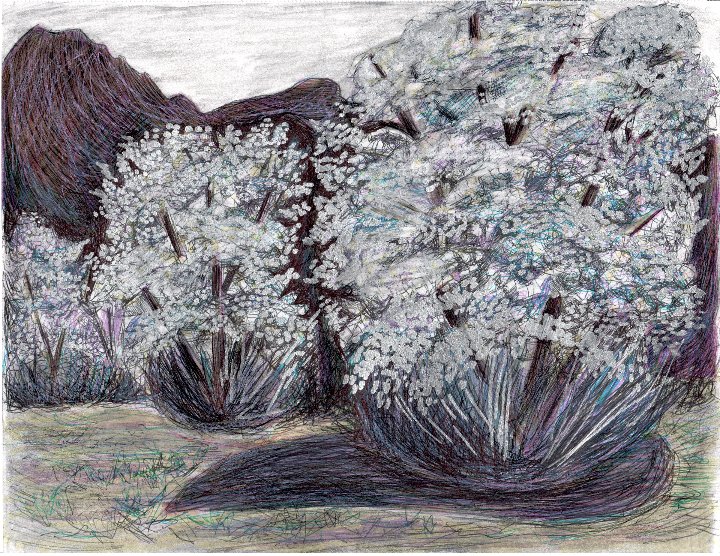 Thinkmarkart's tweet image. Tree Landscape. Thinkmark. Mixed media on paper. 2024. 
Blog: Thinkmark.net
Etsy: ThinkmarkArt.etsy.com