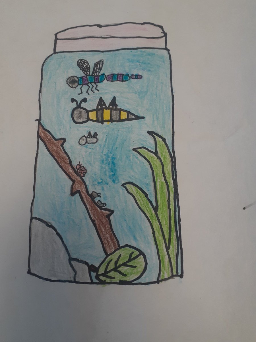 MrsRyanLambeth's tweet photo. Amazing artwork grade twos! @LambethPS1 https://t.co/a00Ntk1vVf