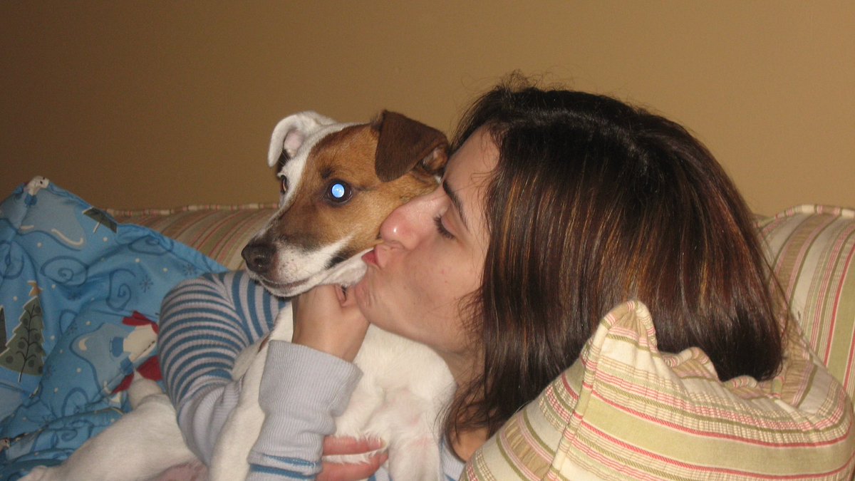 He was the runt of the litter but when I saw him I knew he was the perfect present for her. His birthday was our anniversary. He belongs on the Mount Rushmore of Doggos. The silver lining is that they are running and playing together now. 

Love ya boy.

#RIP Samson.