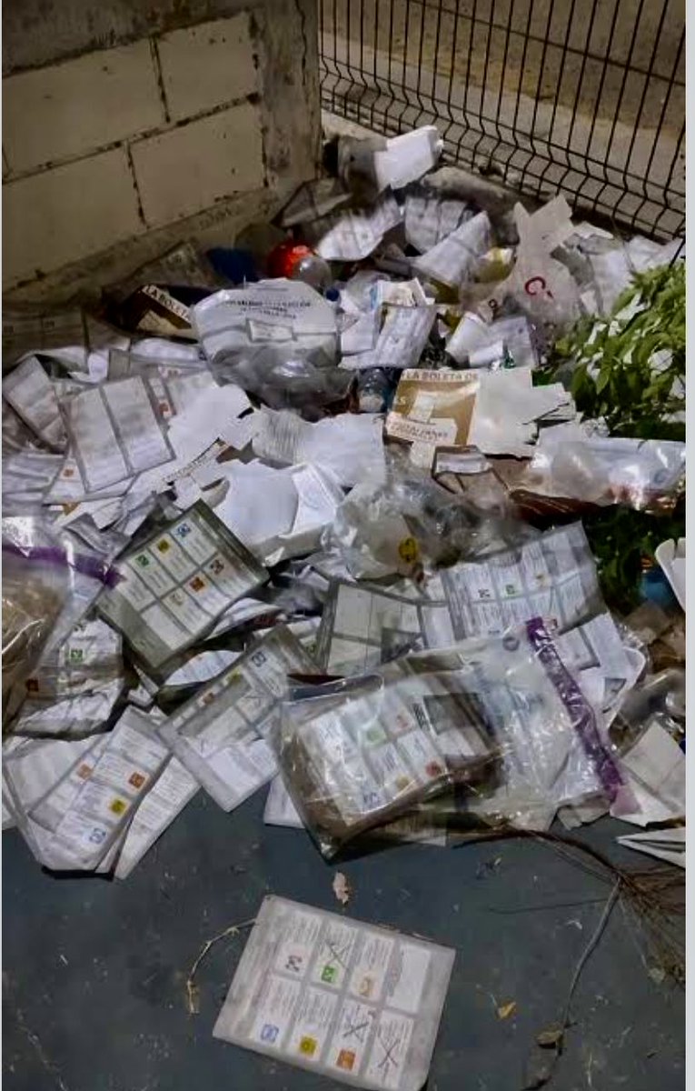 Guadalupe Loaeza tweet media