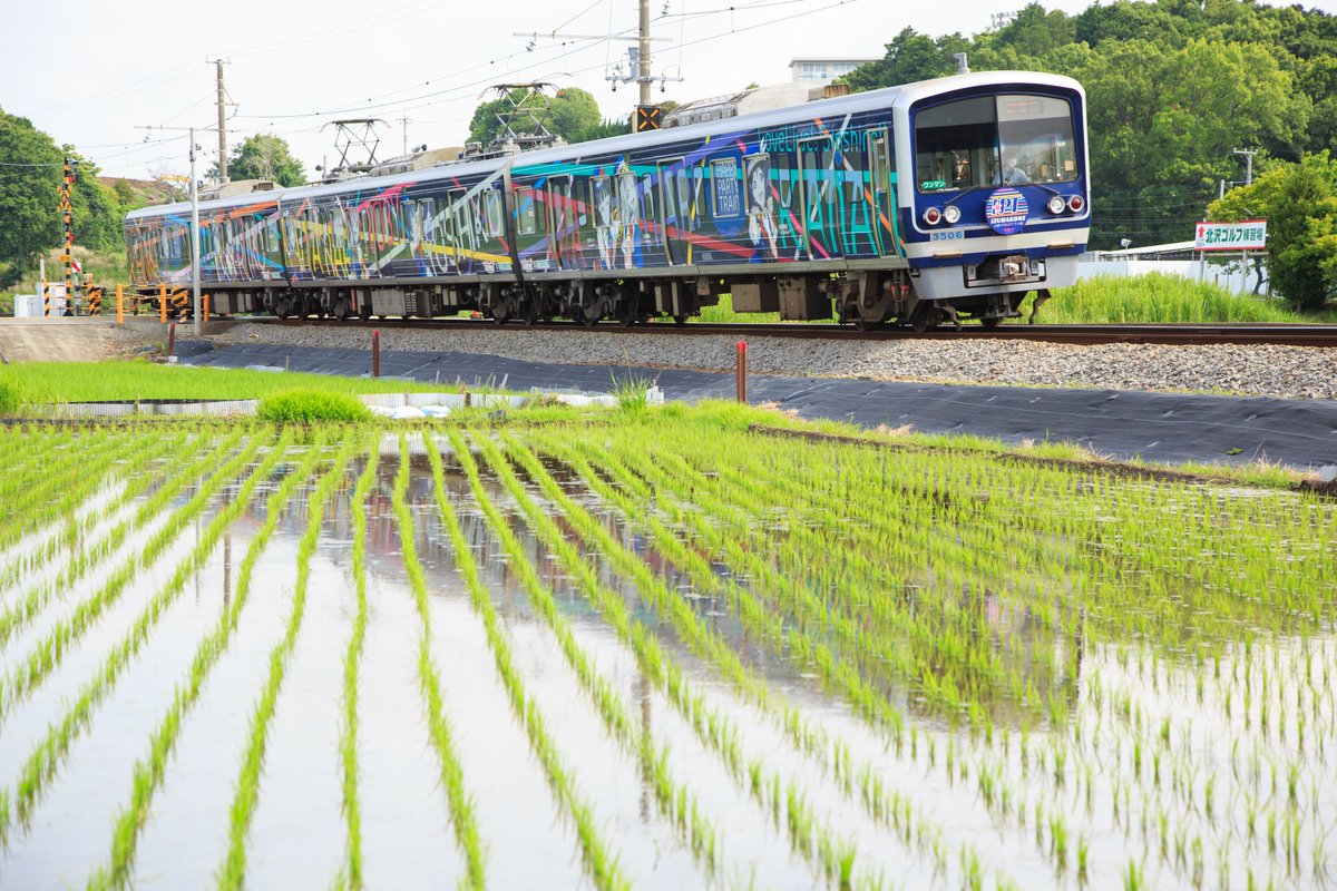 hiro_handa's tweet photo. Rice Planting Season Coming
いずっぱこ Early Summer Colors
Blog:https://t.co/yXRAfWkKFr
17,June,2024 / Izuhakone,Sunzu Line
#伊豆箱根鉄道 #駿豆線 #HappyPartyTrain #lovelive_sunshine #Aqours #早苗田 #riceseedlings #ricefield #EarlySummer https://t.co/39pnxhbfBW