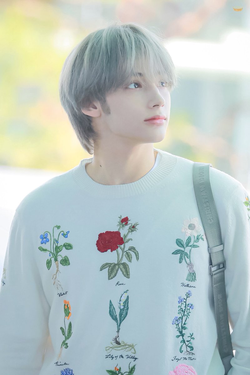 사슴 같은 눈