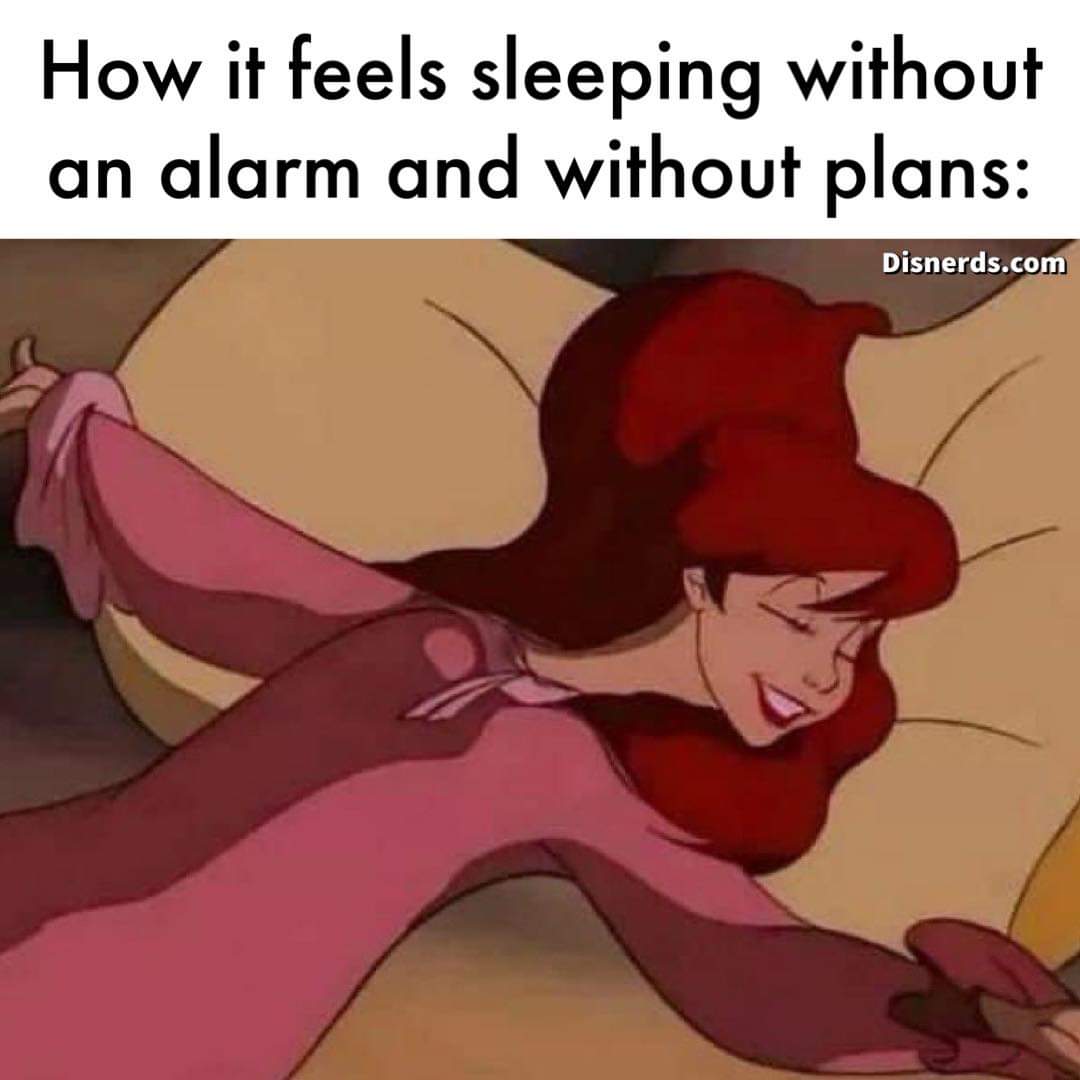 Nour💛 (@nourankamal6) on Twitter photo 