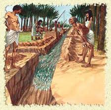 sumerianscholar's tweet photo. Exciting day! Finalized the design for a new irrigation system. This will revolutionize agriculture in Sumer. #Innovation #Agriculture #SumerianScience https://t.co/DcuC0z89I2