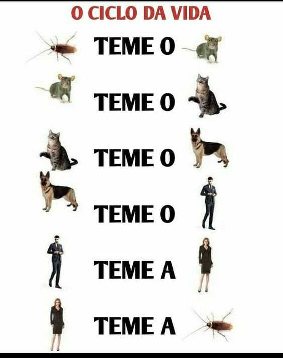 #QuartaPimentinhasSDV 
#QuartaEsquadraoSDV