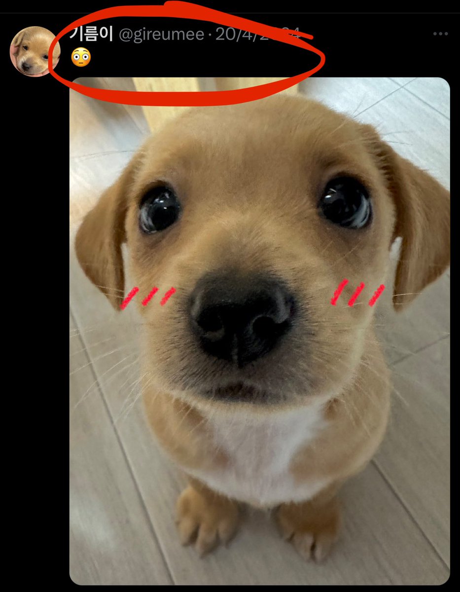 <a href="/Hezenbergz/">Hezenbergz</a> FORGET THAT AND BUY SOME #GIREUMEE the real name of the cutest dog on solana!! 

now here’s why - this coin is for the people the cabal have one they are pumping called $BILLY - now if you ask me i got into crypto to make money not make the rich richer! so ima put my money in the