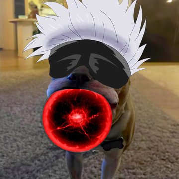 sean-justin tweet media