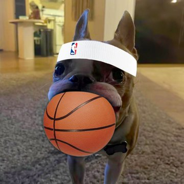 sean-justin tweet media